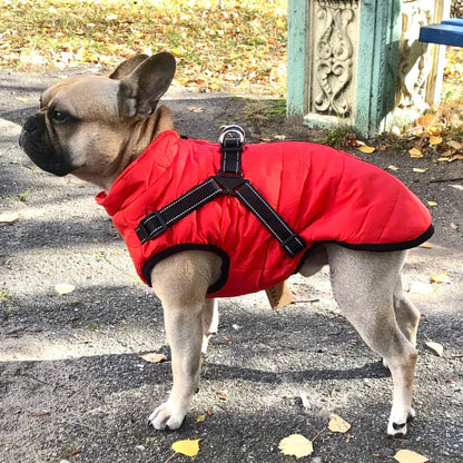 PawProof Winter Vest | Houd je hond warm én in stijl!