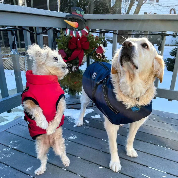 PawProof Winter Vest | Houd je hond warm én in stijl!