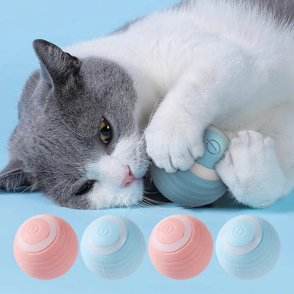 Interactieve Kattenbal  | Houdt katten actief en voorkomt verveling